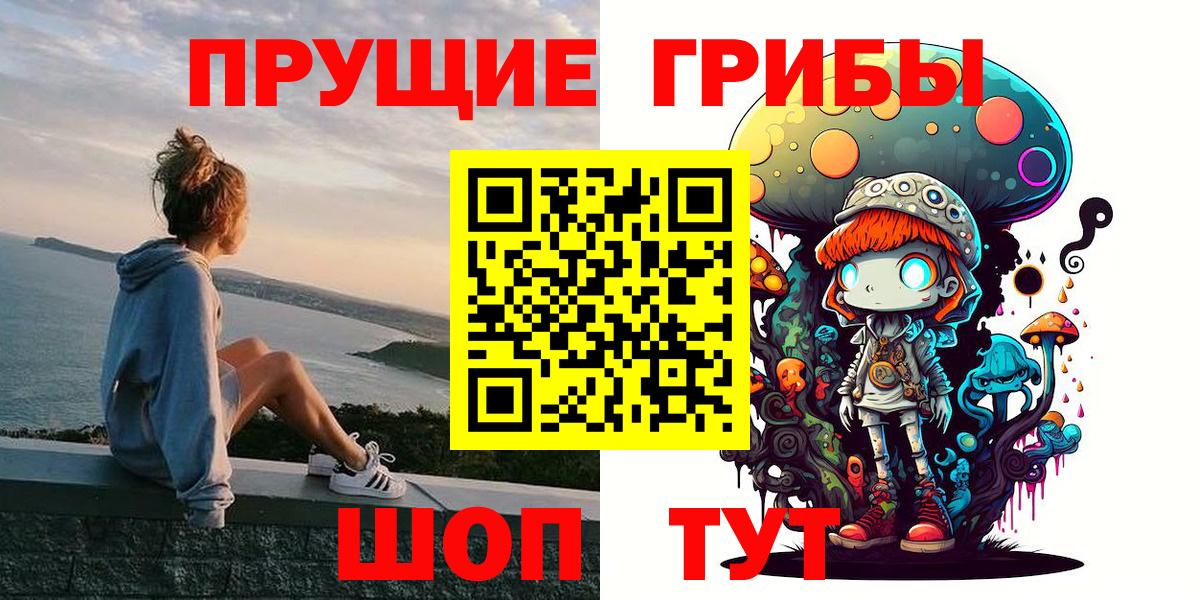 Псилоцибиновые грибы Psilocybine cubensis  Малоярославец  Псилоцибиновые грибы Psilocybe 