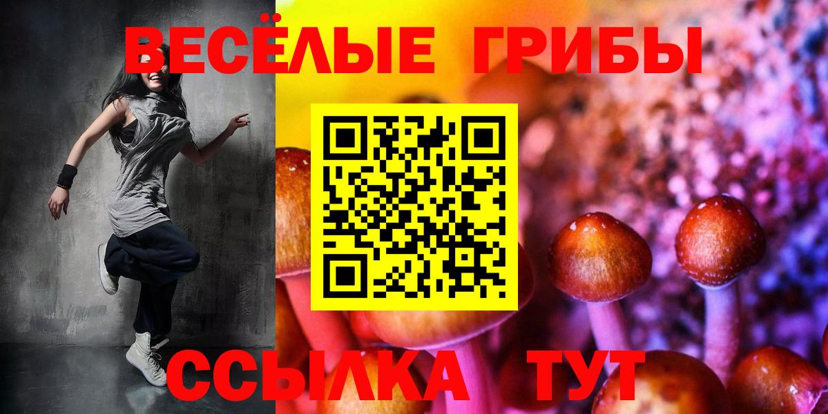 Малоярославец  Псилоцибиновые грибы прущие грибы  Вход с VPN 