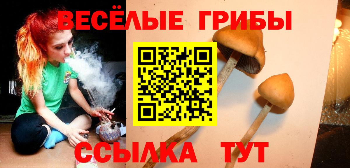 Псилоцибиновые грибы GOLDEN TEACHER Малоярославец