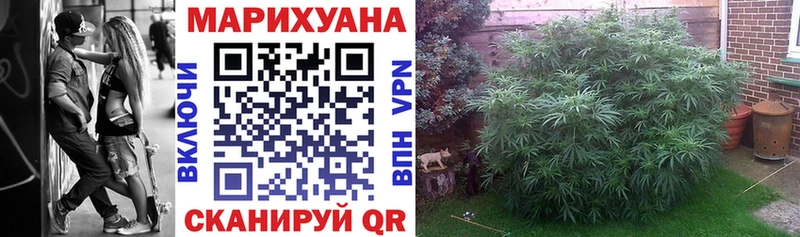 Бошки марихуана план  гидра ССЫЛКА  Малоярославец 